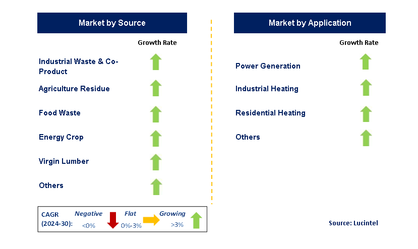 Biomass Pellet by Segment